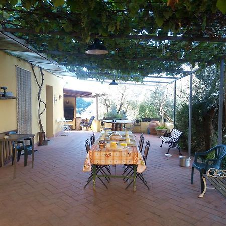 Willa Agriturismo Il Cavallone Montelupo Fiorentino Zewnętrze zdjęcie