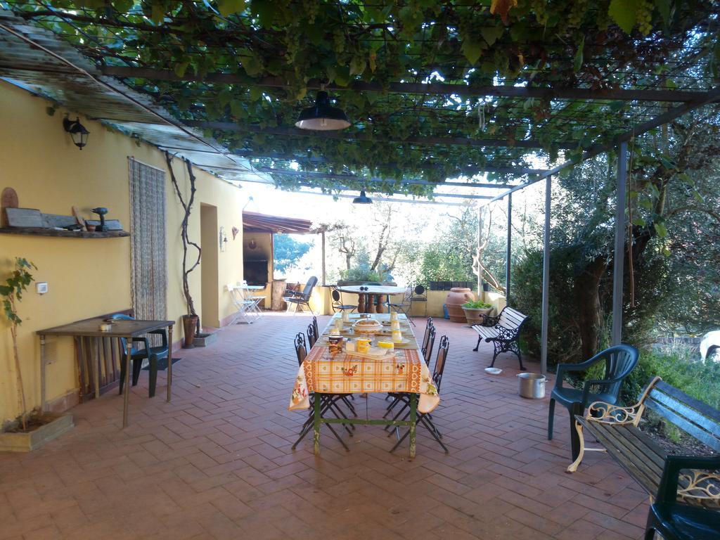 Willa Agriturismo Il Cavallone Montelupo Fiorentino Zewnętrze zdjęcie